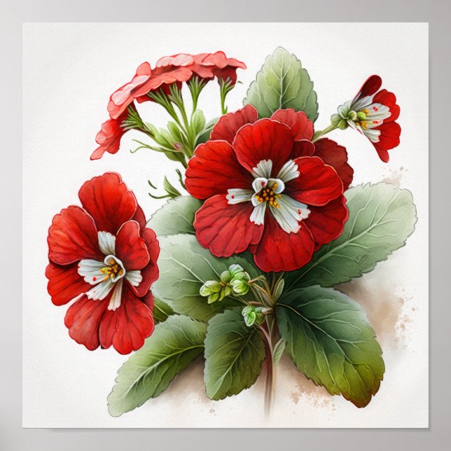 Poster utskrift av Red Primrose Flowers Art (Framsidan)