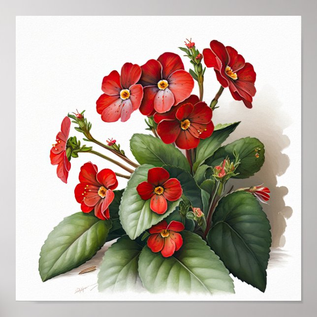 Poster utskrift av Red Primrose Flowers Art (Framsidan)
