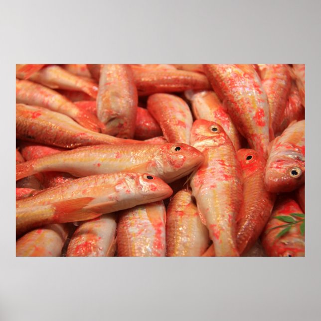 Poster/utskrift av rosa fisk poster (Framsidan)
