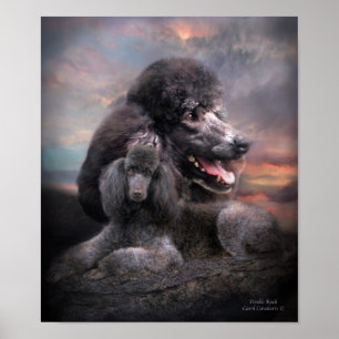 Poster/utskrift av Sten i pudel Poster