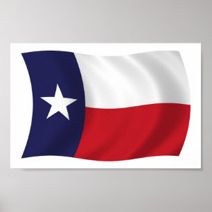 Poster utskrift av Texas-Flagga