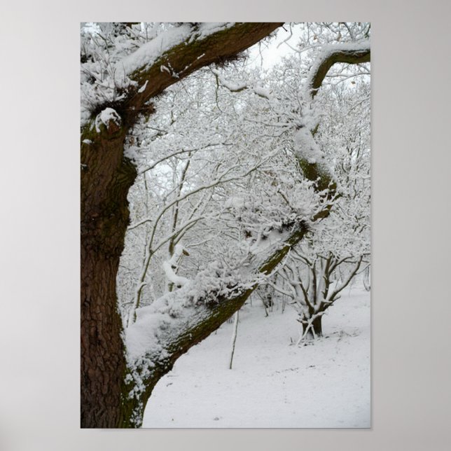 Poster utskrift av Winter Snö-scenen (Framsidan)
