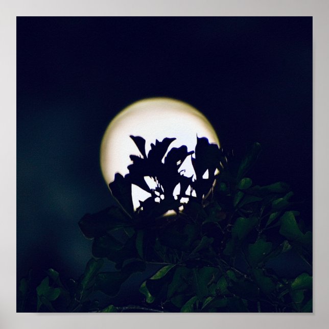 Poster utskrift för ramning av fullmotofotot (Framsidan)