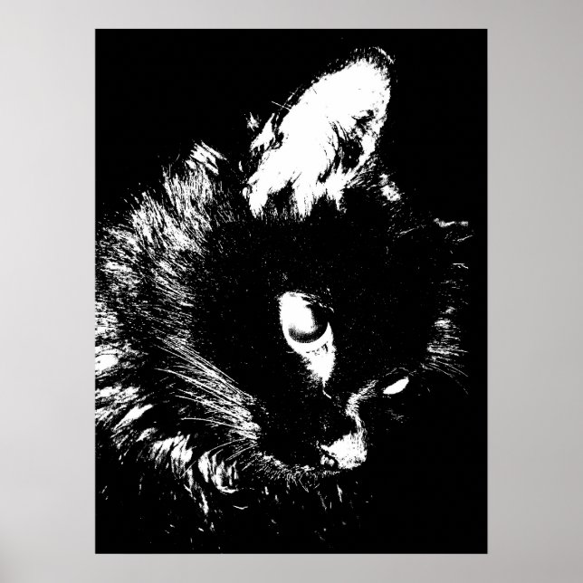 Poster utskrift - Poster katt (Framsidan)