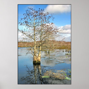 Poster utskrift: Två Träd som ett