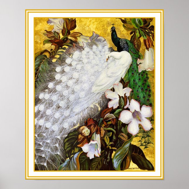 Poster utskrift: Vit och blå bock (Framsidan)