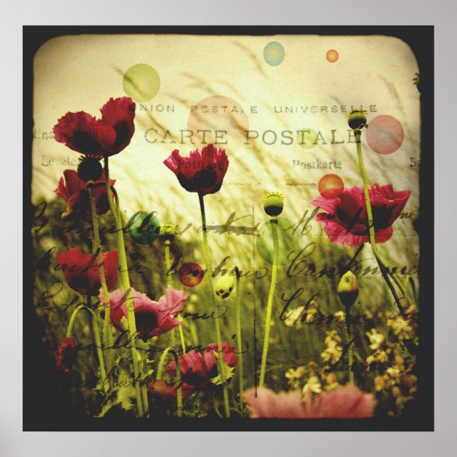 Poster utskrifter (Framsidan)