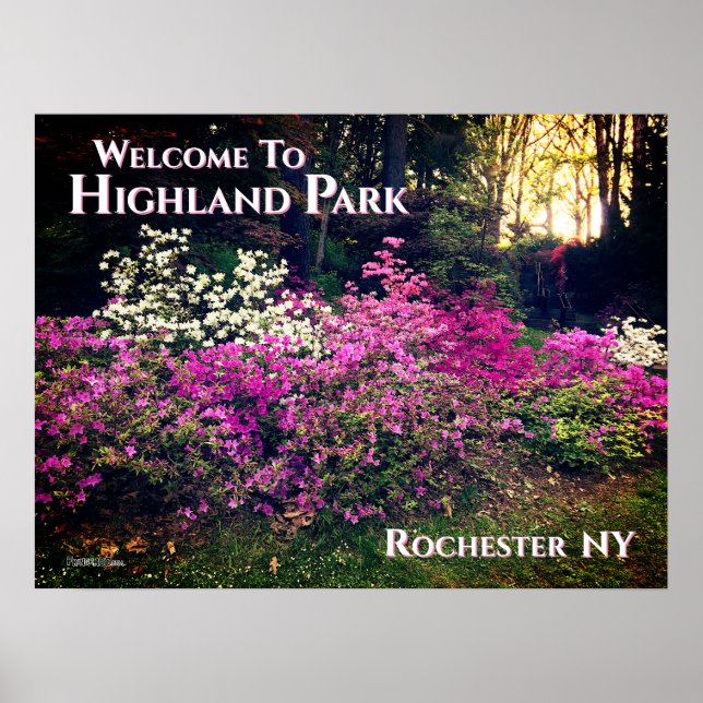 Poster - Välkommen till Highland Park Rochester NY (Framsidan)