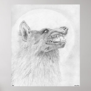 Poster varg