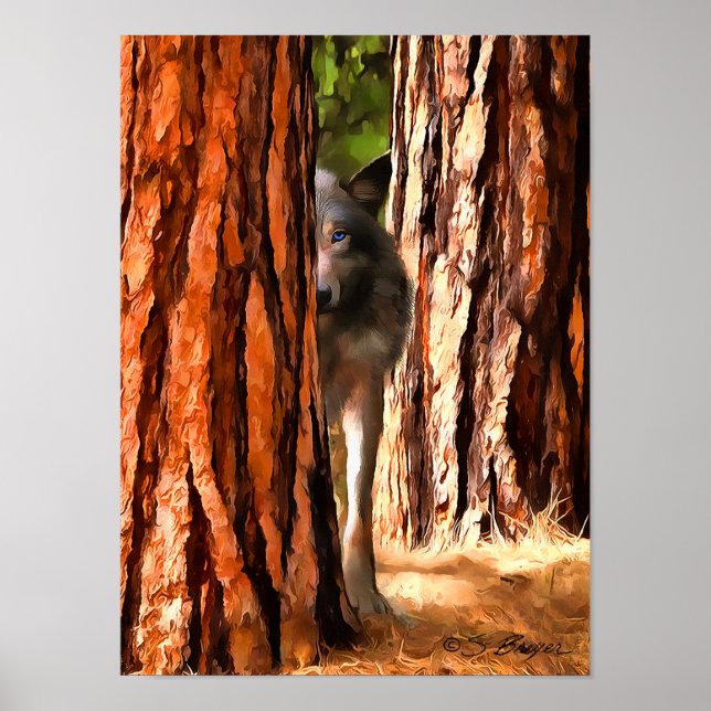 poster varg (Framsidan)