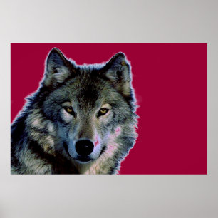 Poster varg