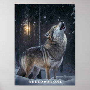 Poster Vargen Yellowstone