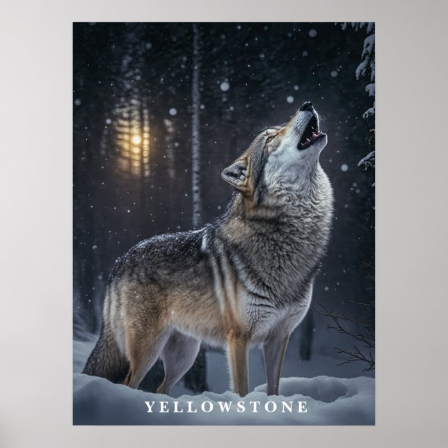 Poster Vargen Yellowstone (Framsidan)