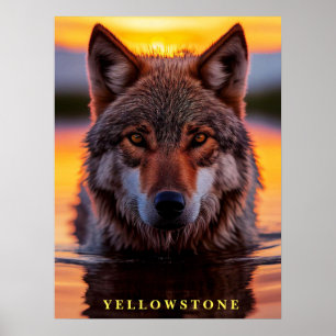 Poster Vargen Yellowstone