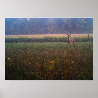 Poster varningsdocka