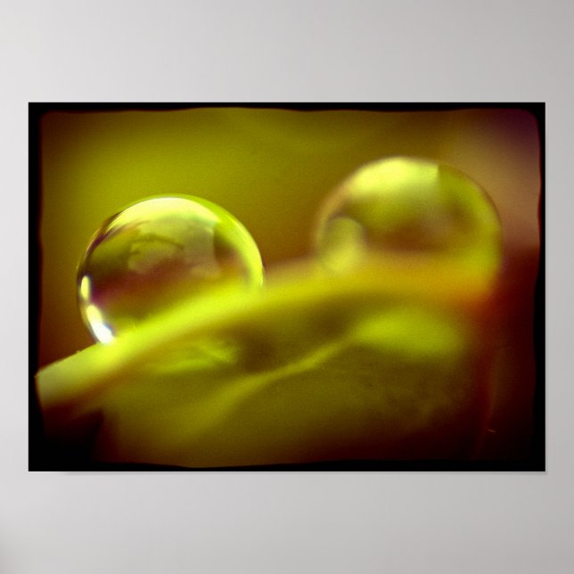 Poster vatten (Framsidan)