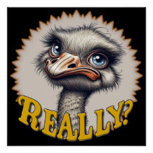 Poster verkligen Ostrich Glossy
