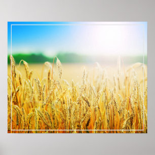 Poster-vete Poster