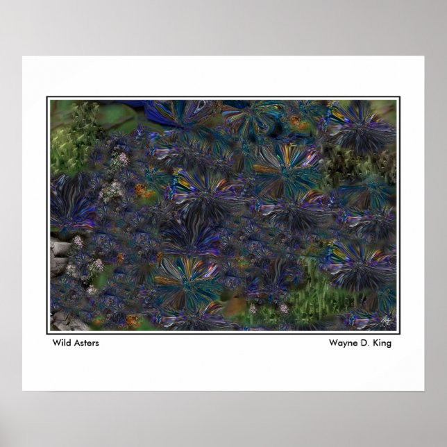 Poster vild Asters (Framsidan)