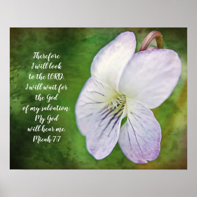 Poster vild Violet Flower Bible Scripture (Framsidan)
