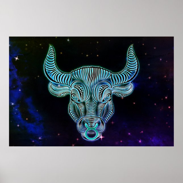 poster vildfångaren zodiac (Framsidan)