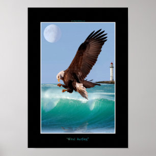 Poster vind SURFING Örn Art
