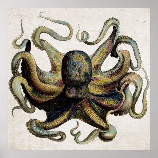 Poster vintage av oktopus