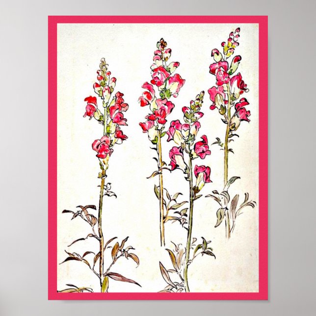 Poster Vintage Illustration-Beatrix Potter 7 (Framsidan)