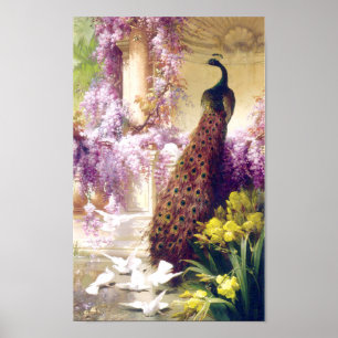 Poster vintage Peacock Image