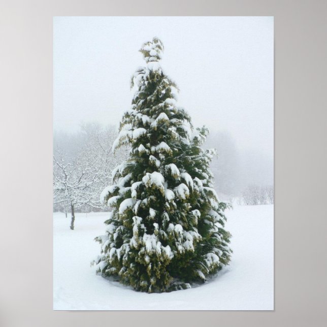 Poster vinterscen (Framsidan)