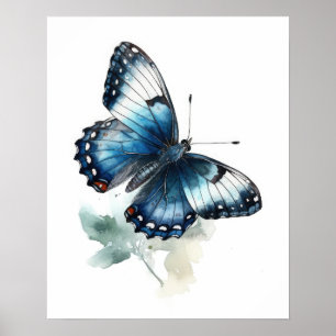 Poster vit amiral Butterfly Art-utskrift