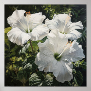 Poster vit Hibiscus Flower Art Print