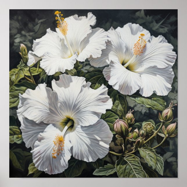 Poster vit Hibiscus Flower Art Print (Framsidan)
