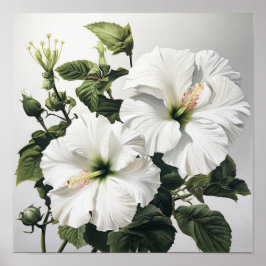 Poster vit Hibiscus Flower Art Print