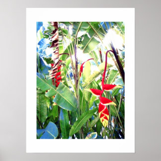 Poster vitt (18 x 24 tum) Röda blomman Bali