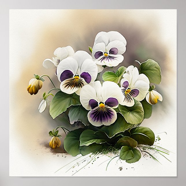 Poster vitviolas blombild (Framsidan)