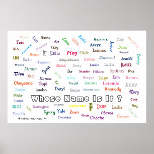 POSTER Whose Name Is It ? Unisex names/MMETROPOLIM