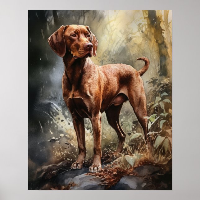 Poster Wirehsted Vizsla Hund Art-utskrift (Framsidan)