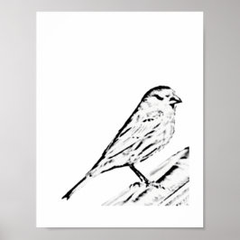 Poster - Wren till Färg