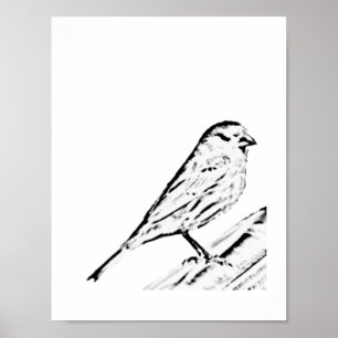 Poster - Wren till Färg