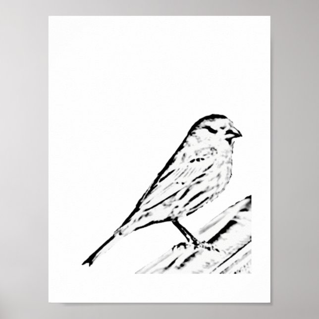 Poster - Wren till Färg (Framsidan)