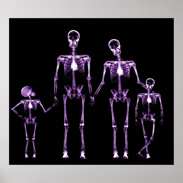 POSTER- X RAY SKELETON FAMILY BLACK LILA POSTER (Framsidan)