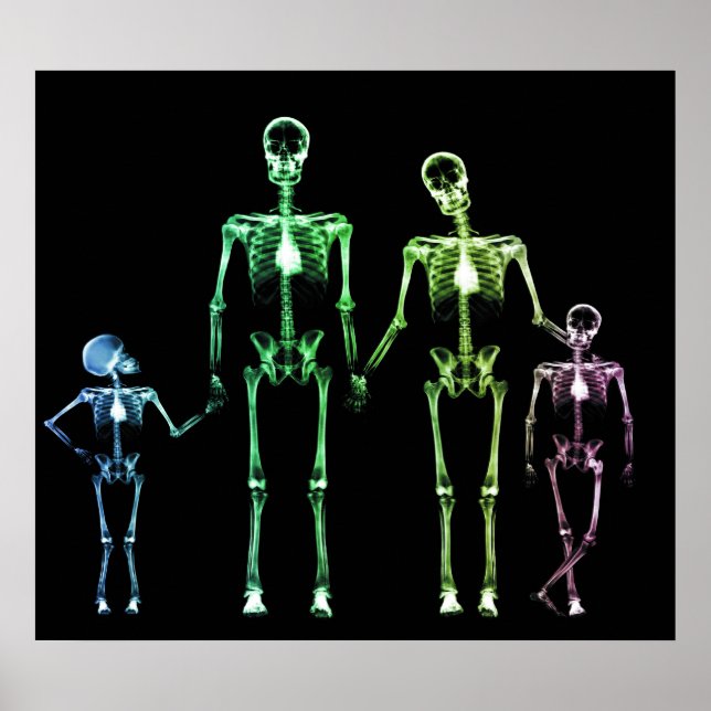 POSTER - X RAY SKELETON FAMILY BLACK ORIGINAL (Framsidan)