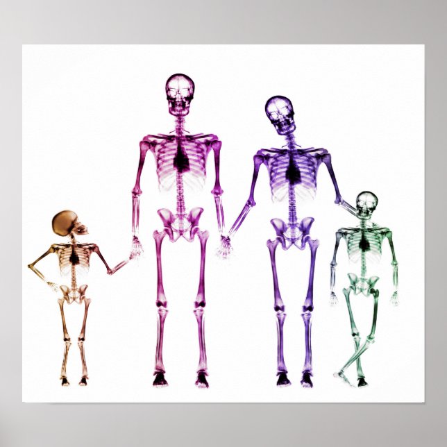 POSTER - X RAY SKELETON FAMILY WHITE ORIGINAL (Framsidan)