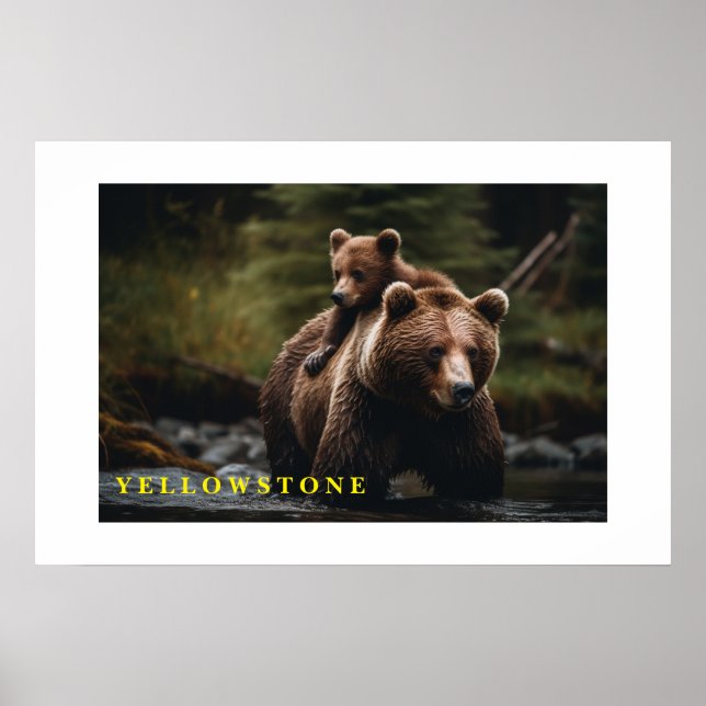 Poster Yellowstone Bear (Framsidan)