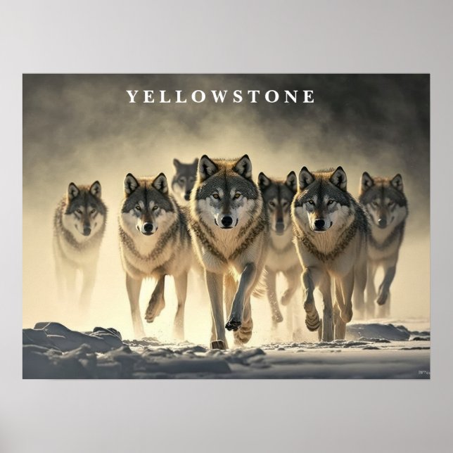 Poster Yellowstone-Varger (Framsidan)