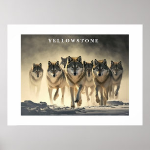 Poster Yellowstone-Varger