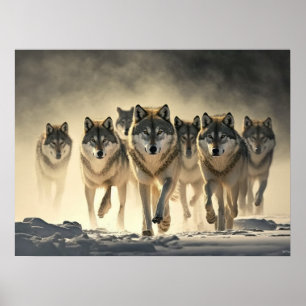 Poster Yellowstone-Varger