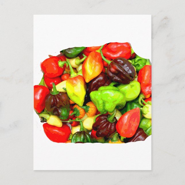 Posterized Hett Pepper Assortment Bild Vykort (Framsida)