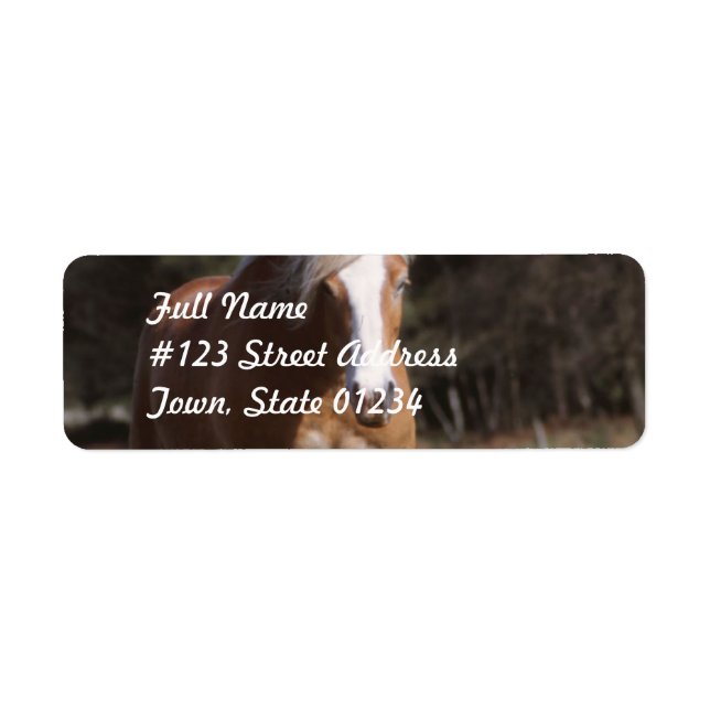 Postetiketter för Galloping Palomino Returadress Etikett (Framsidan)